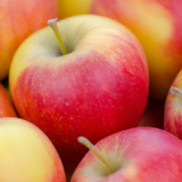 apple fruits 